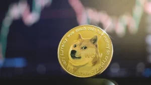 Doge Coin une cryptomonnaie dont l'engouement a atteint des personnes victimes du syndrome FOMO Crypto